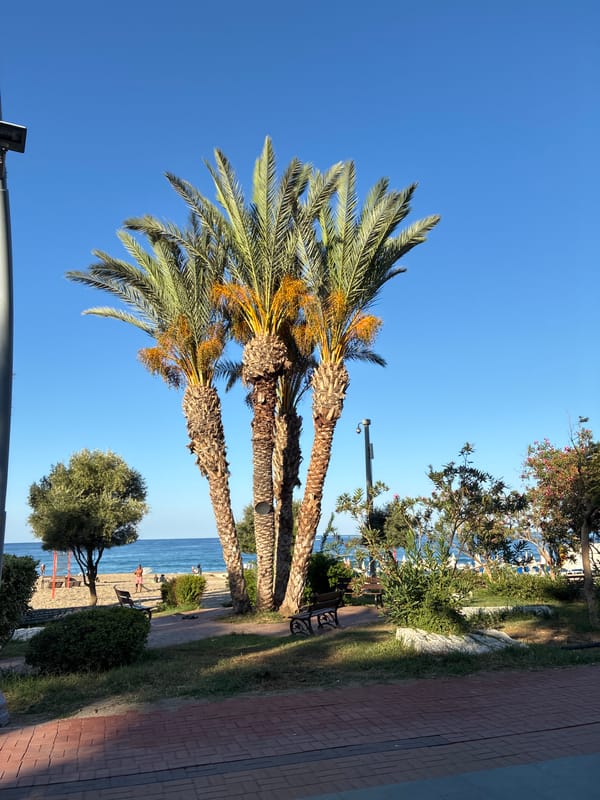Sunny morning snapshots across Alanya's streets and shoreline