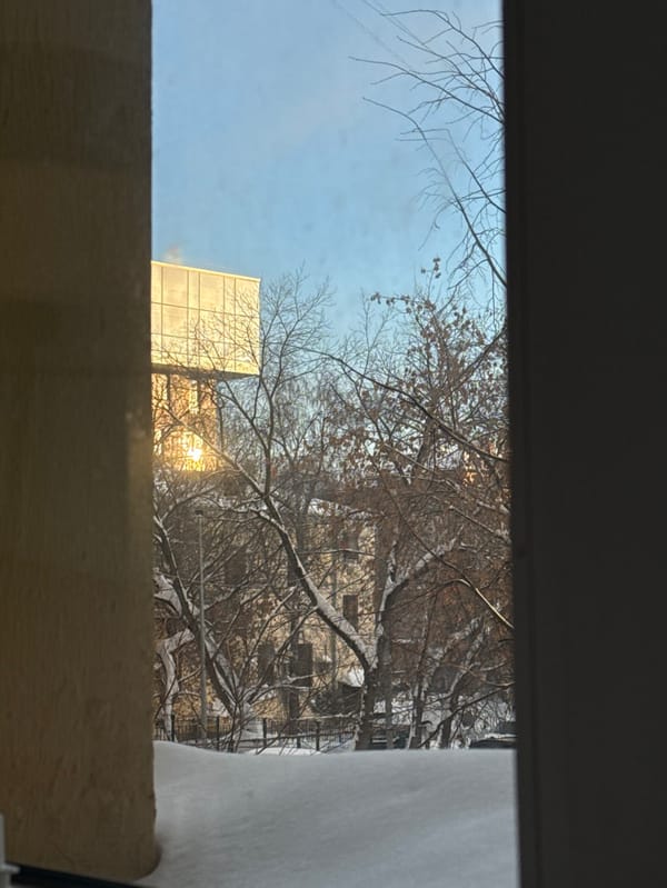 Moscow morning: cats, snow, and quiet domestic moments