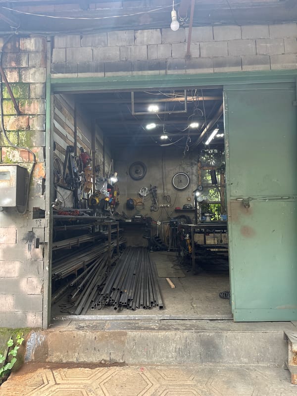 Workshop and cat observed in Tbilisi Georgia morning