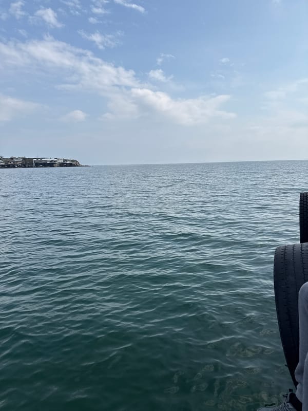 Choppy Black Sea waters observed from structure near Ravda