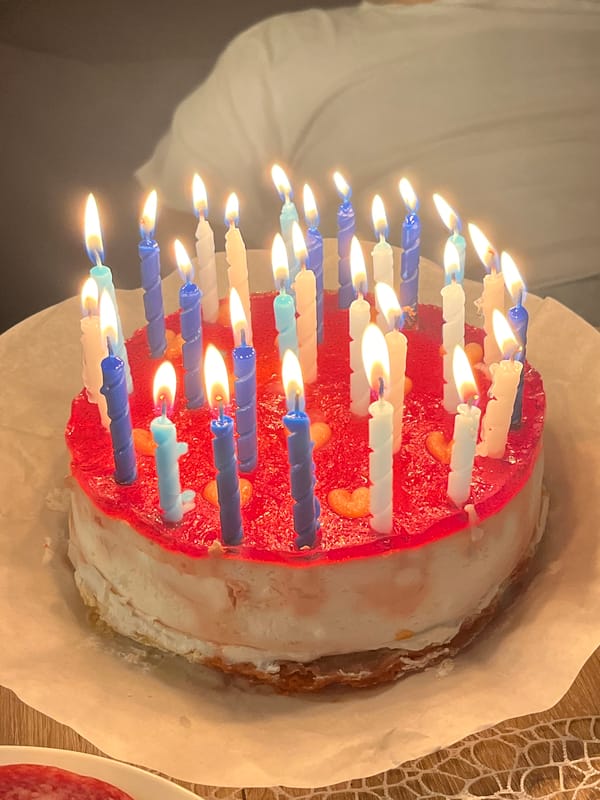Birthday cake celebration captured in Saarbrücken home