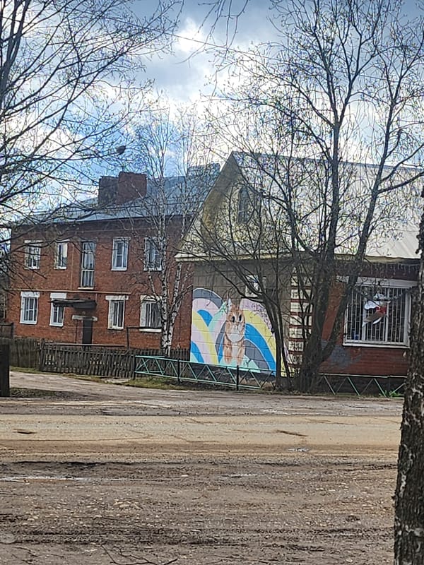 Spring morning moments documented in Krasnogorskoye, Russia