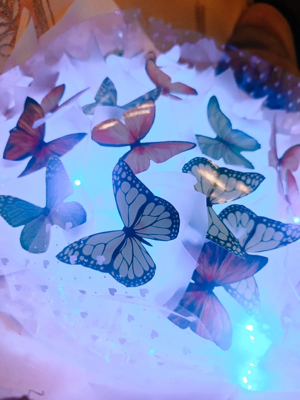Illuminated paper butterfly display observed in Samara, Russia