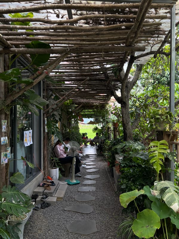Rural café moments captured amid Vietnam's rice fields