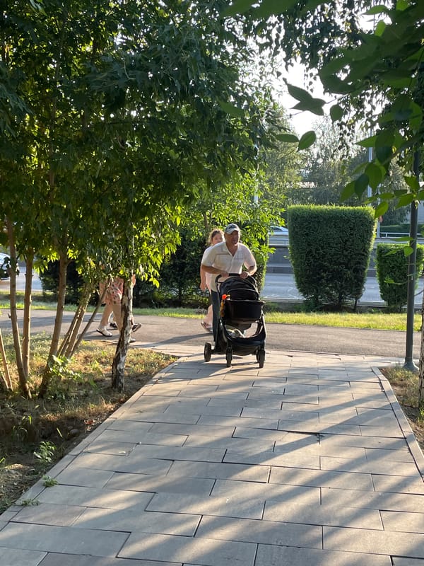 Almaty neighborhood streets, gardens, and local businesses on a summer afternoon