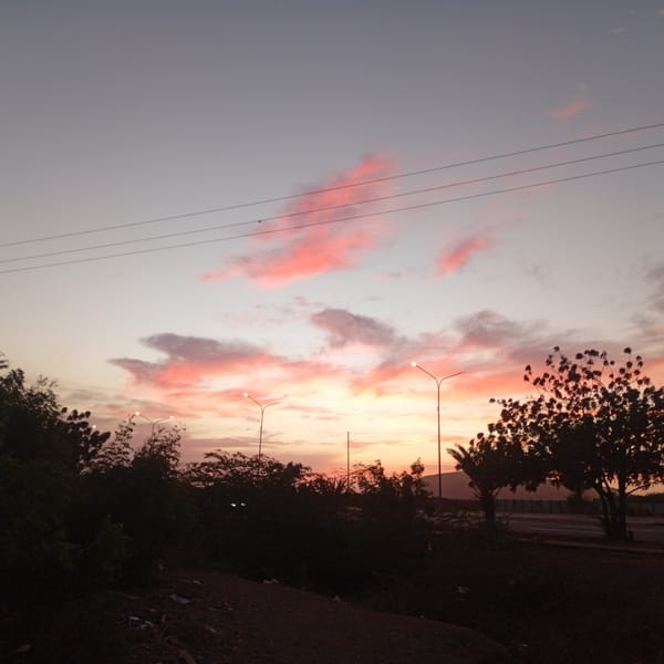 Urban sunset observed across neighborhood with cat sighting
