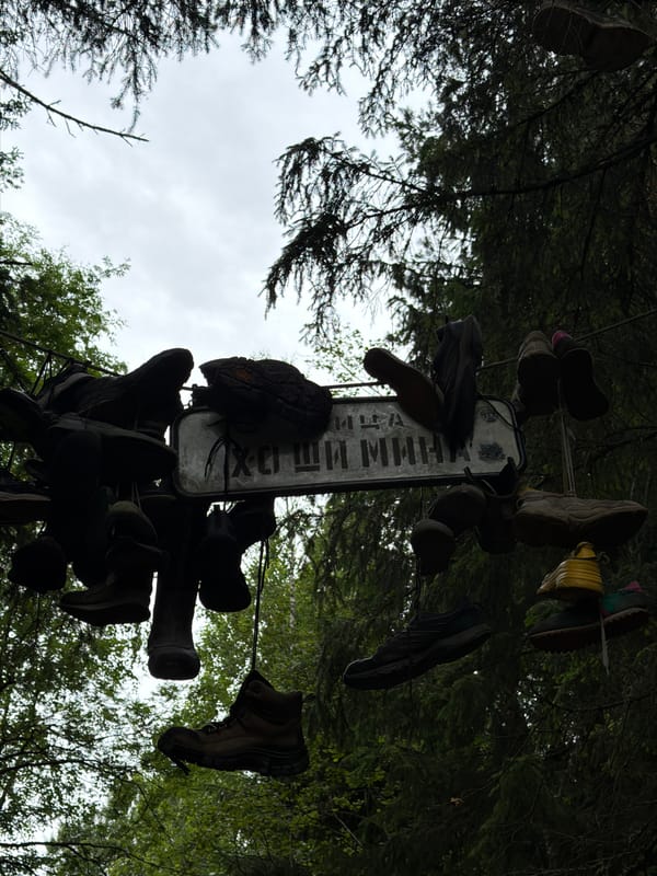 Shoes hanging from trees around Russian sign in forest