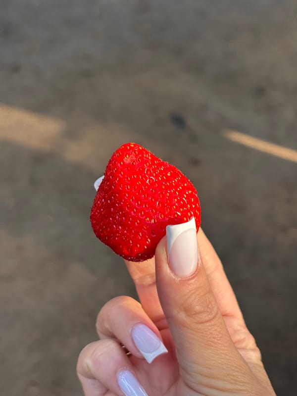 Hand holding fresh strawberry in Votkinsk