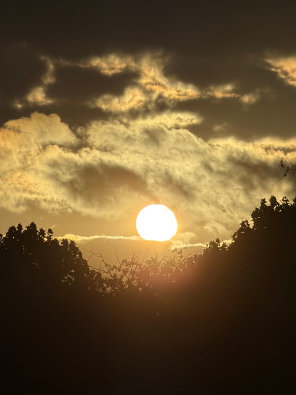 Golden sunset over silhouetted trees in Esch-sur-Alzette