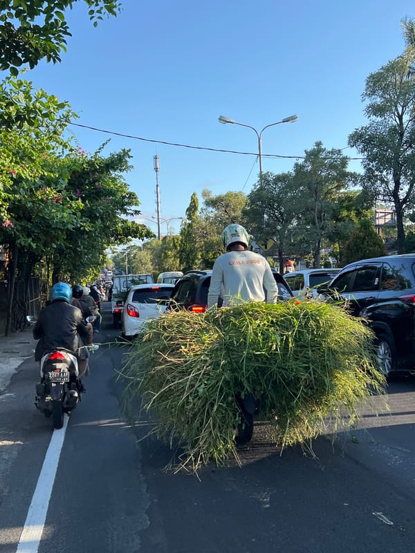 Motorcyclist carries grass bundle through Denpasar traffic congestion