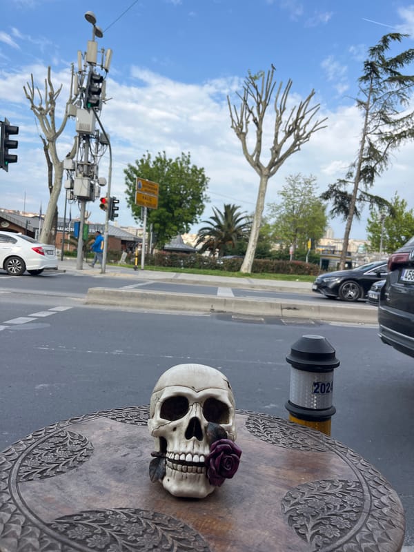 Decorated skull with purple rose spotted on Istanbul street