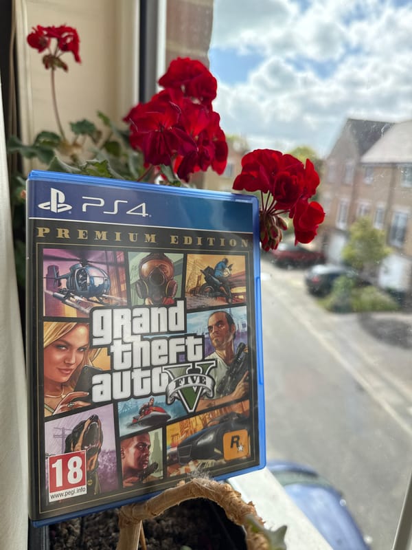Video game photographed with flowers on Great Yarmouth windowsill