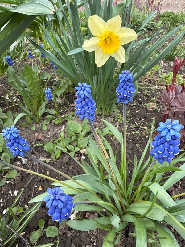 Spring day captured through personal moments in Rusanovo, Russia