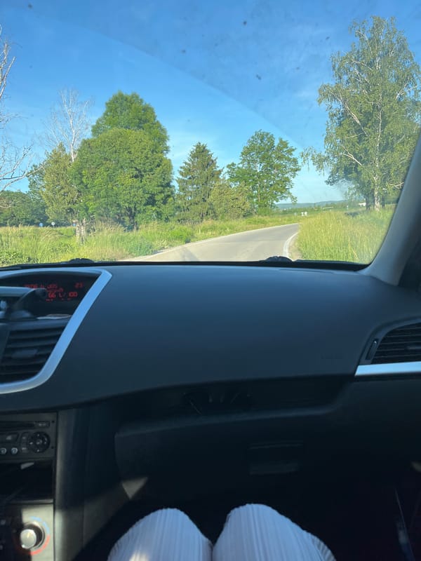Couple's car journey documented through countryside and highways