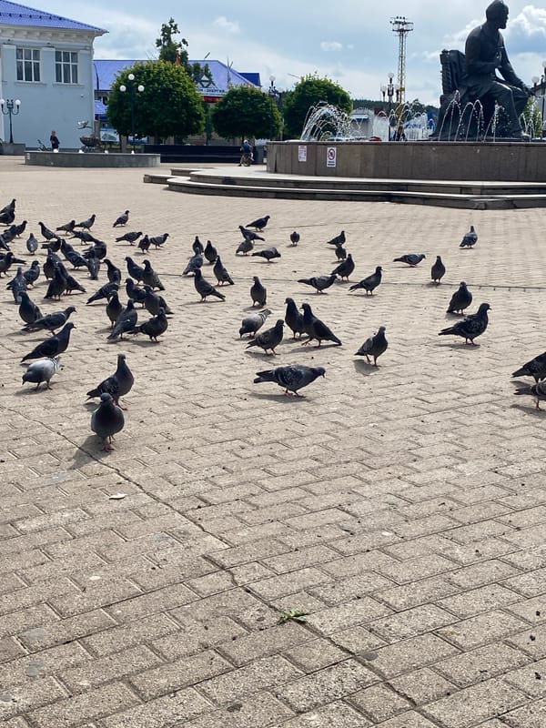 Morning moments captured in Chaikovsky square with pigeons, portraits
