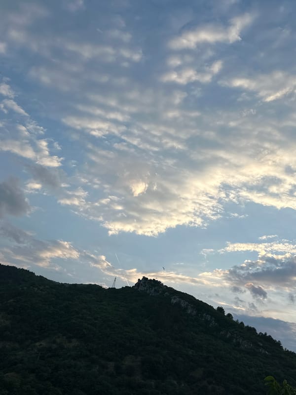 Sunset evening documented in Asenovgrad: gardens, panoramas, small dog