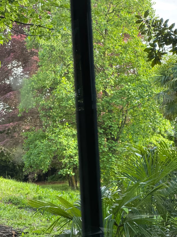 Observer documents framed outdoor view in Erba, Italy