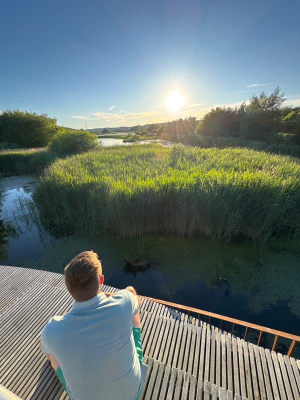 Golden-hour wander through Vejle's wetland paths and waterways