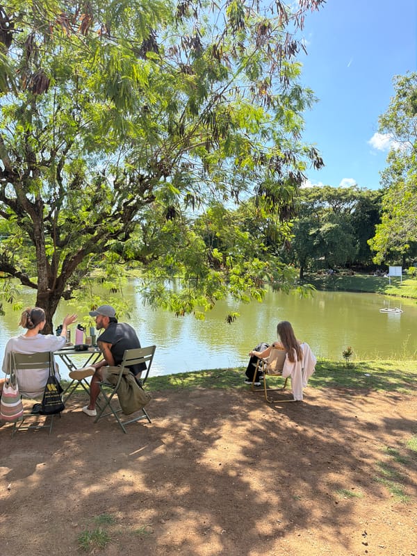 Morning lakeside gathering with ducks observed in Kuta Selatan