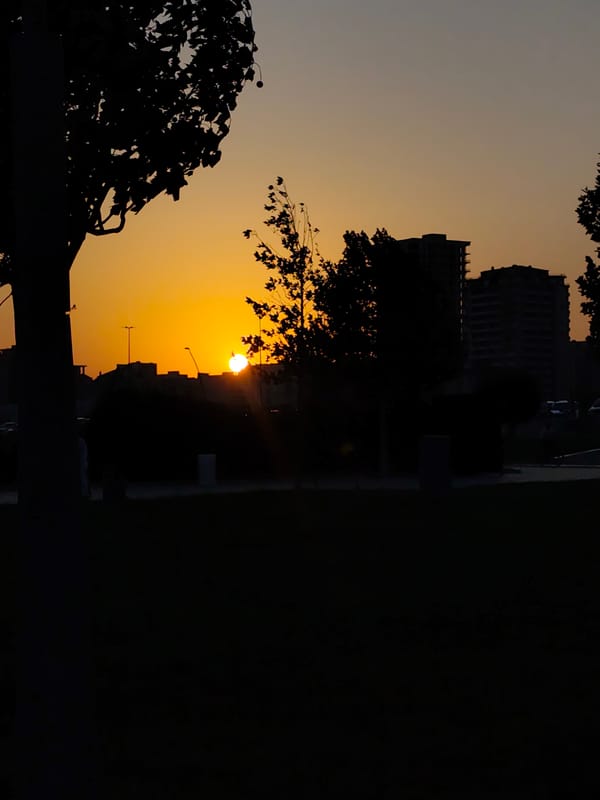 Dusk in an Azerbaijani city park, sun setting over skyscrapers