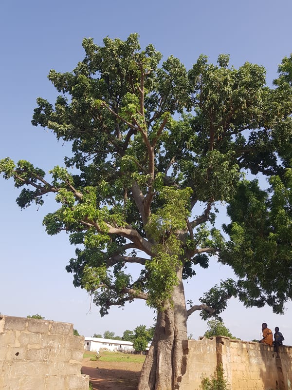 School grounds and surroundings in Jimeta, Nigeria, midday