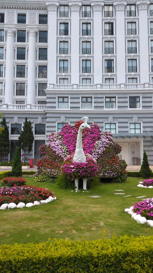 Floral peacock sculpture spotted at Da Lat hotel gardens