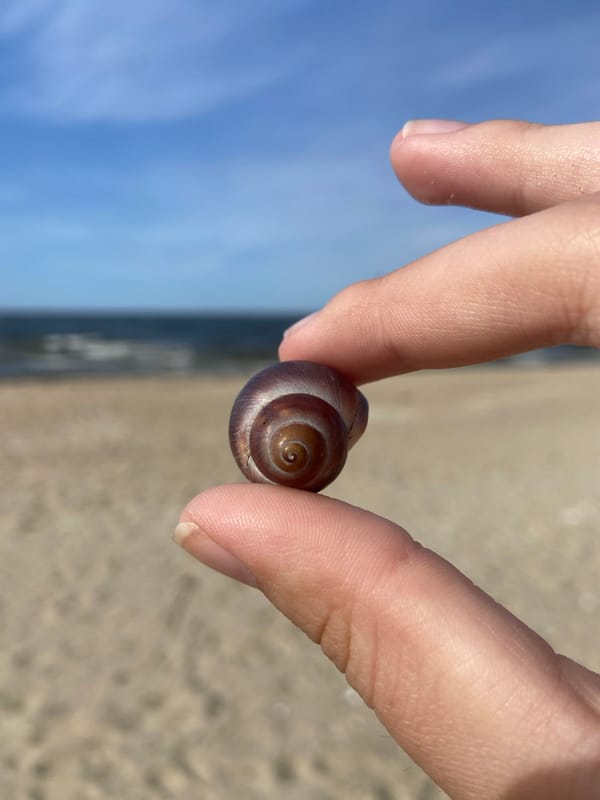 Beach visitor creates shell art, flies kite during afternoon stroll