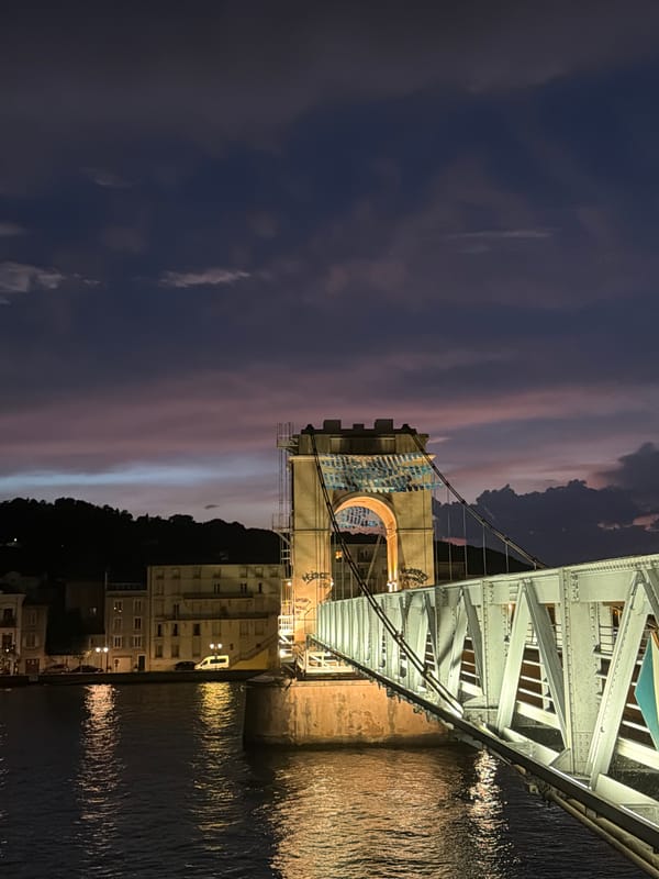 Vienne at dusk: bridges, Gothic cathedral, and street details