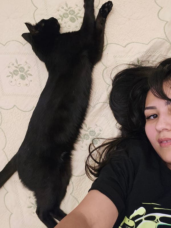 Relaxing on a bed with a black cat in Dushanbe