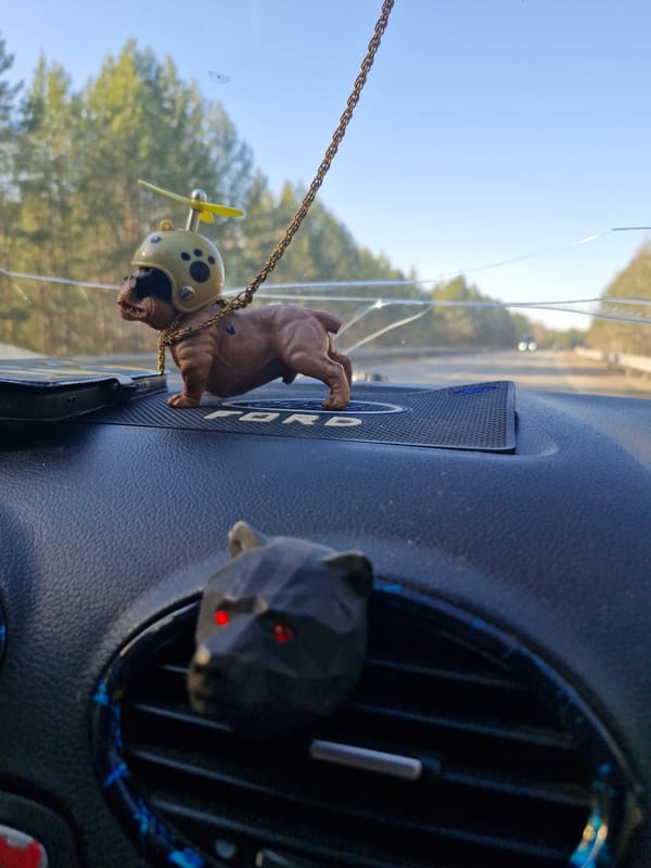 Driver displays whimsical dog ornament in car dashboard