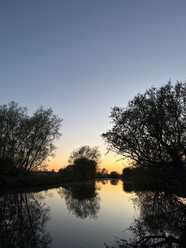 Peaceful waterside evening documented in South Norfolk countryside