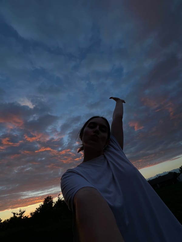 Sunset, dogs, ducks, and shadow selfies in rural Ukraine