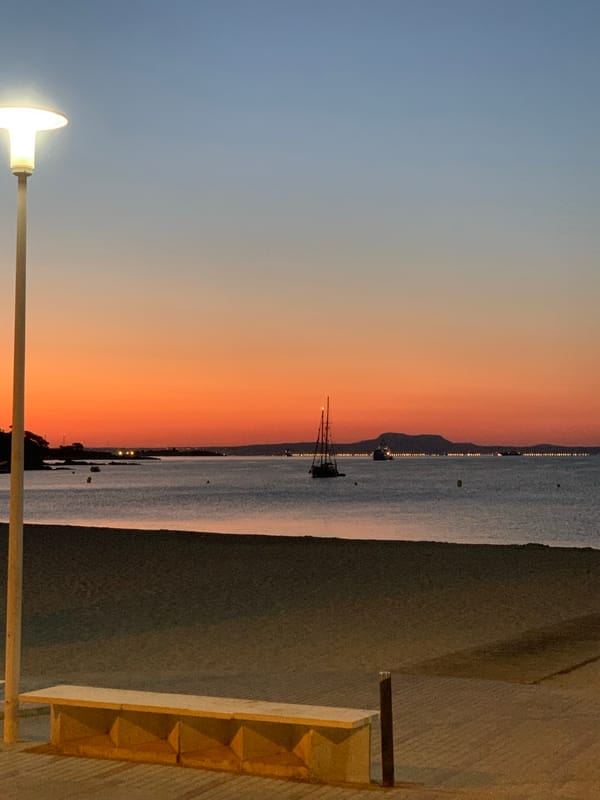Beach promenade and a stray cat, Palmanova night
