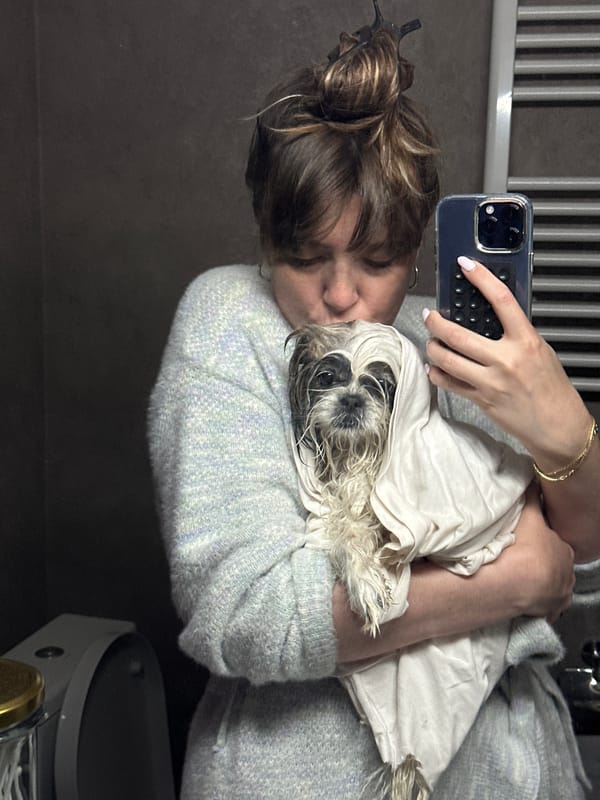 Pet grooming session documented in Tbilisi apartment bathroom