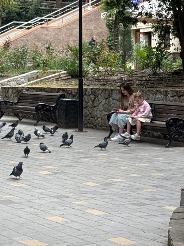 Morning urban scenes captured across city locations