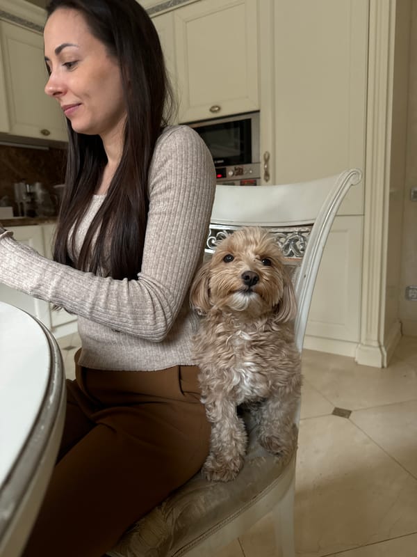 Woman enjoys quiet morning with dog in Krasnoyarsk