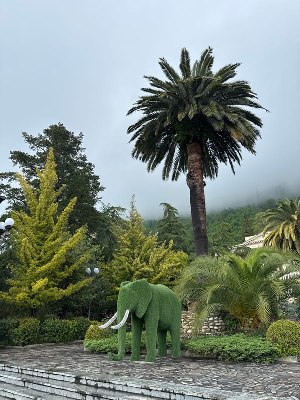 Woman documents leisurely afternoon exploring parks and landmarks in Gagra