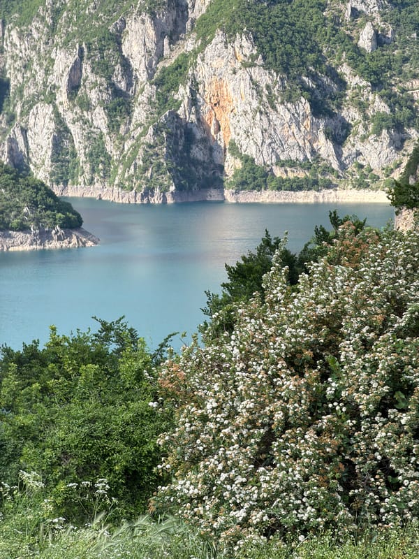 Scenic mountain lake views captured near Plužine, Montenegro