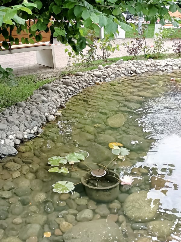 Almaty park with streams, ponds, and footbridges on a summer morning