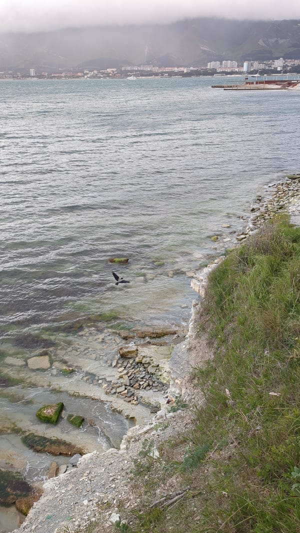 Tourist captures everyday moments in Gelendzhik coastal scenes