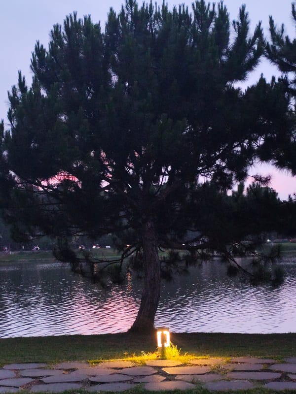 Twilight picnic captured at Da Lat lake park