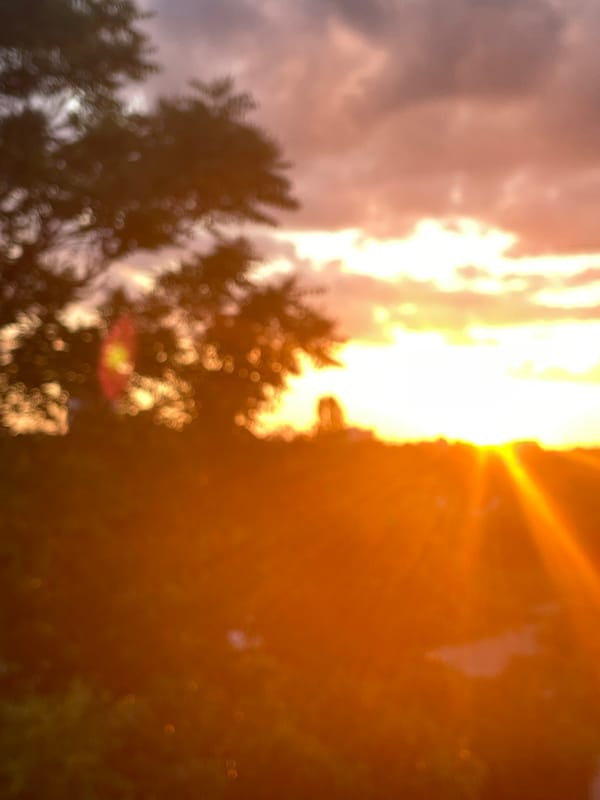 Sofia residents witness golden hour aircraft and urban sunset scenes