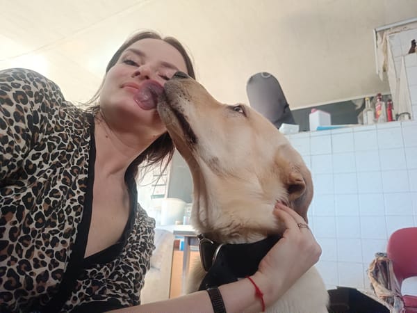 Pet moments documented across Rusalevka homes Sunday afternoon