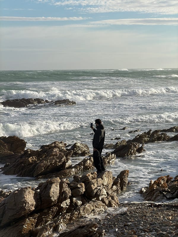 Witnesses document shipwreck and coastal observers at Cape Agulhas
