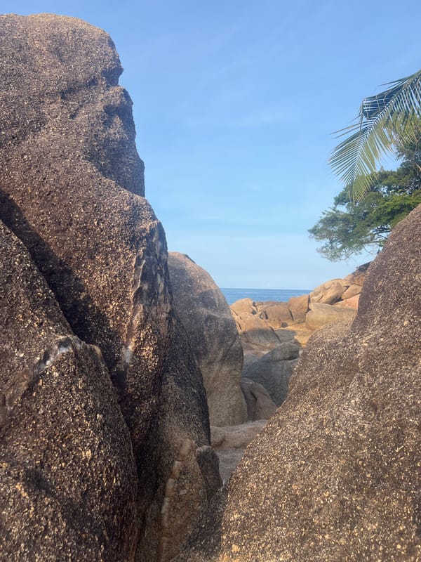 Hibiscus flowers and granite boulders on a Ko Samui beach