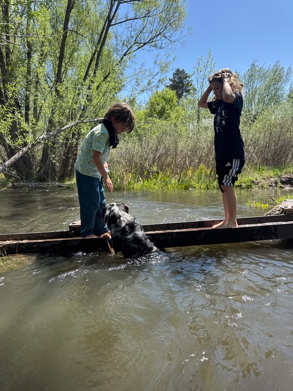 People and dog enjoy afternoon creek visit in Boulder