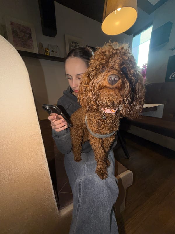 Woman spends afternoon with brown poodle in Sofia apartment