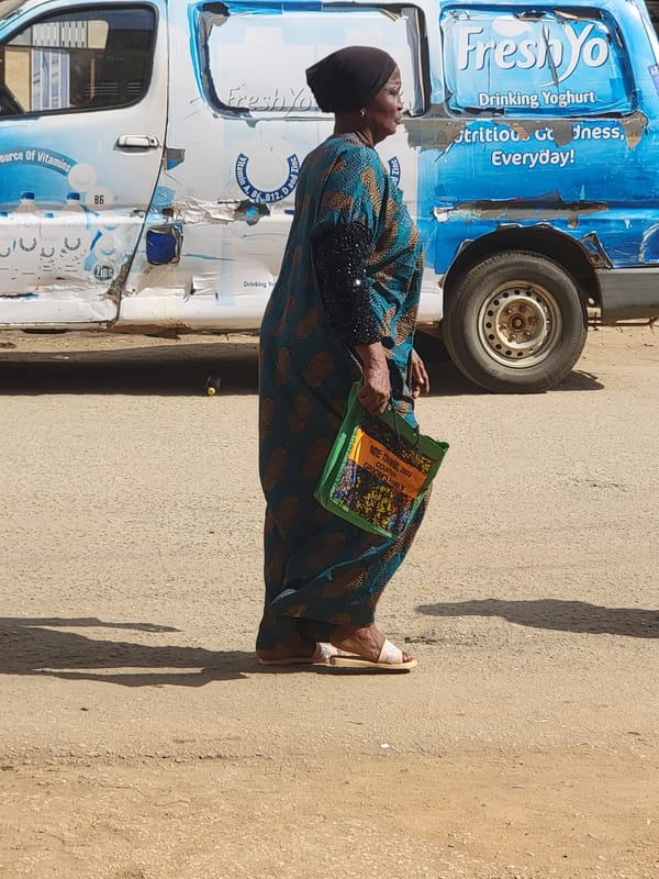 Daily life scenes documented in Maiburiji, Nigeria