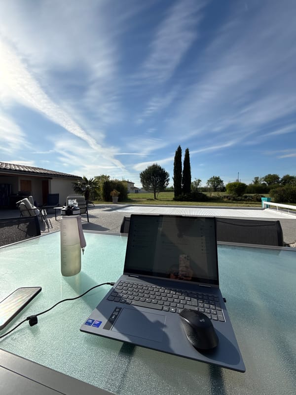 Woman works outdoors with laptop, cat nearby in French backyard