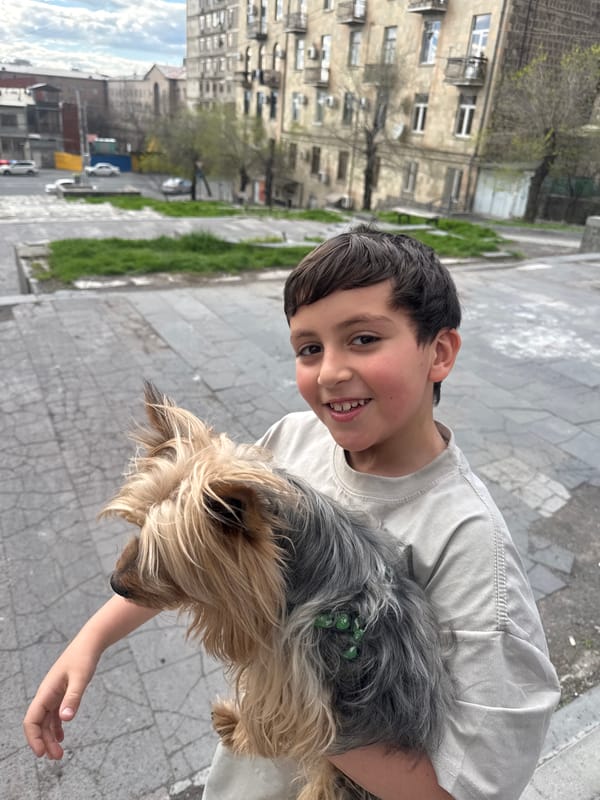 Boy walks Yorkshire Terrier in downtown Yerevan